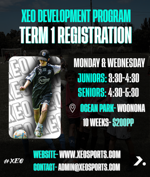 2025 - Term 1 Development Program